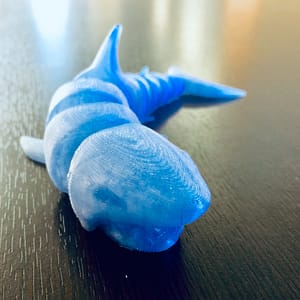 Dinamico - Stampa squalo